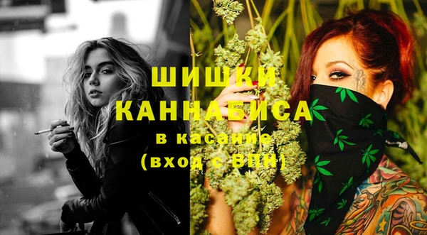 spice Богородск