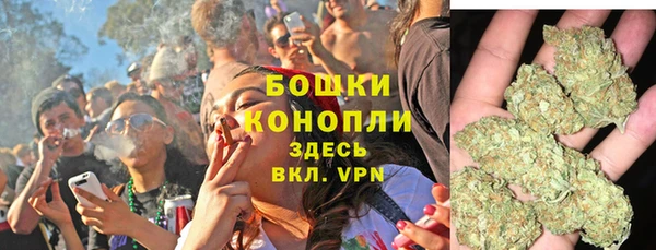 spice Богородск