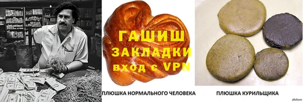 spice Богородск