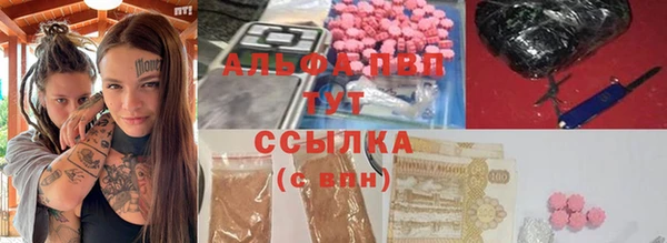 spice Богородск