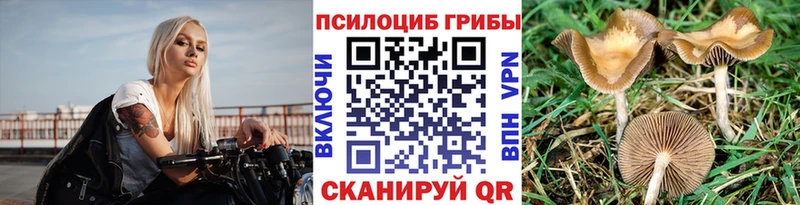 закладки  Козловка  Псилоцибиновые грибы прущие грибы 